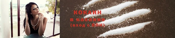 дживик Володарск