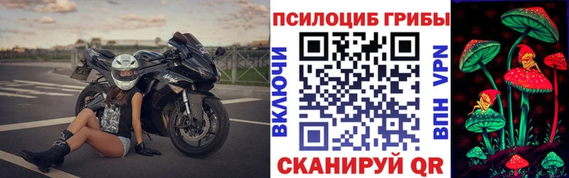 купить наркотики сайты  Изобильный  кракен как войти  Псилоцибиновые грибы мухоморы 